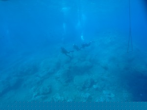IMAG0333